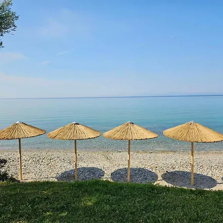 Dom wakacyjny Olive Nea Skioni