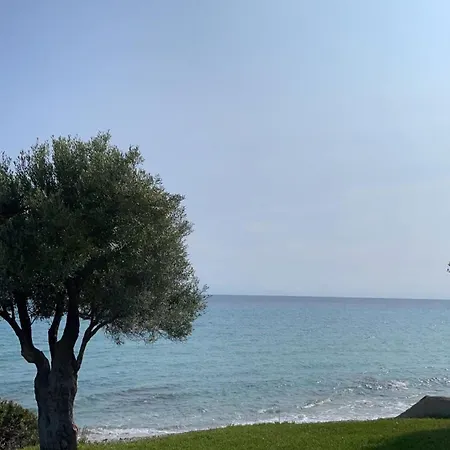 Holiday home Olive Nea Skioni