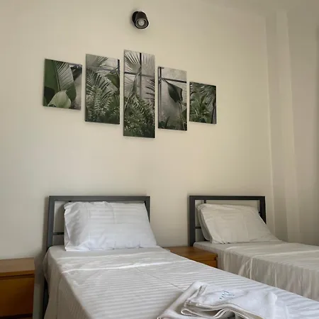 Olive Holiday home